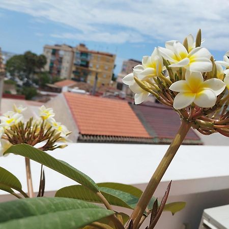 Apartamento Plumaria 말라가 외부 사진